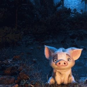 Meet your Posher, Rina